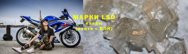 соль ск Зерноград