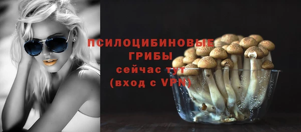 ALPHA PVP Зеленодольск
