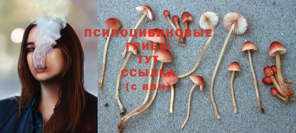 ALPHA PVP Зеленодольск