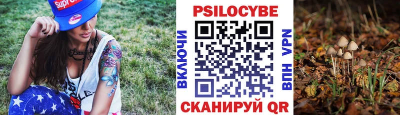 Купить где  Боровск  Галлюциногенные грибы Magic Shrooms 